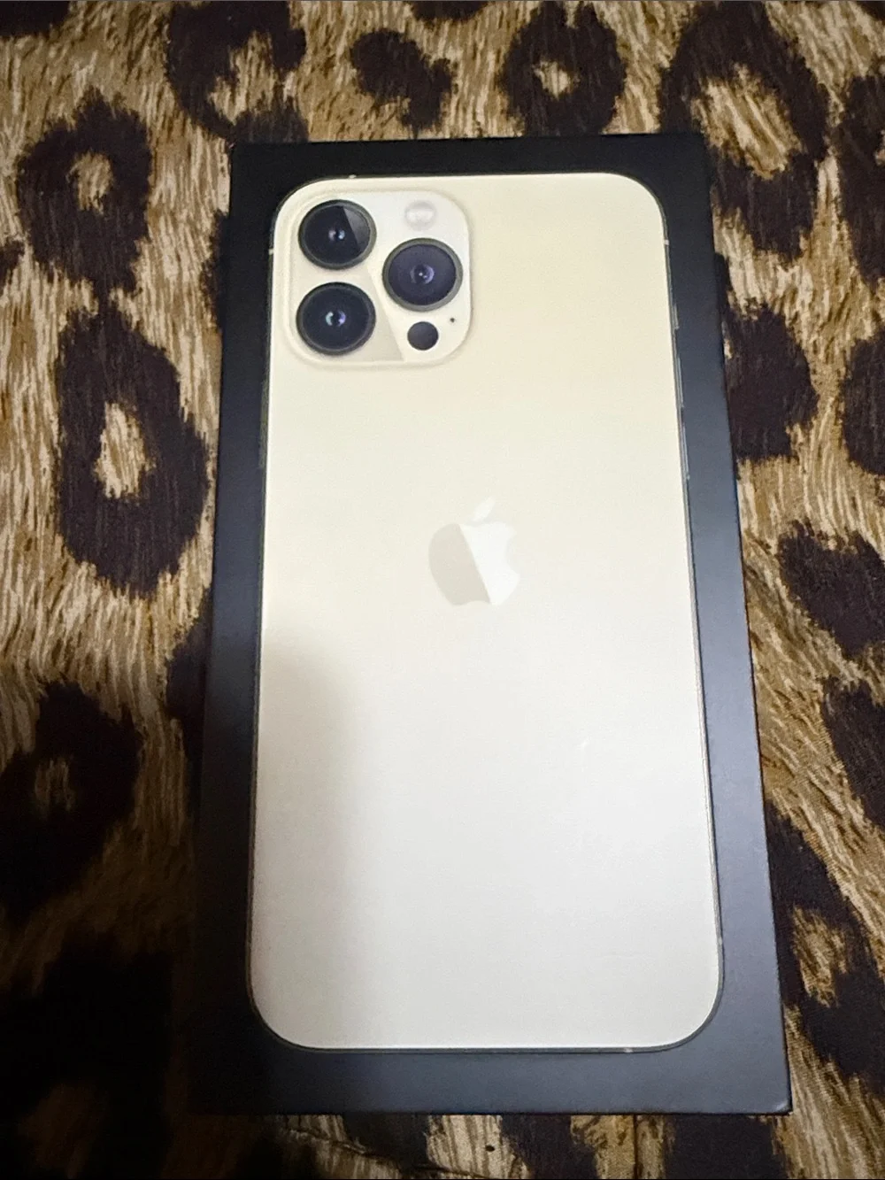 Apple iPhone 13 Pro Max phone box EMPTY